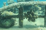 Curacao 04-12 081